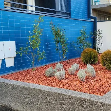 Zvezdara Blue Star Βελιγράδι