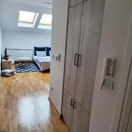 Zvezdara Blue Star Βελιγράδι